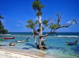 Angler's resort, pulau indah with 100 meter long and a 2 meter wide jetty the angler's resort can accommodate up to 100 fishing. Bikin Malas Pulang 10 Pantai Di Aceh Ini Wajib Dikunjungi