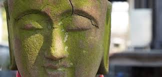 Ritual Health Acupuncture Clinic & Community