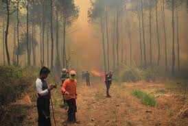 Rupanya hujan keburu turun sementara mereka masih di tengah hamparan sawah desa yang sangat luas itu. Petugas Jinakkan Api Yang Bakar Lahan Gunung Ciremai Republika Online