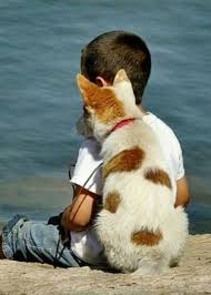 Animals Animals Friends Animals Beautiful