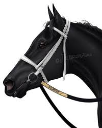 Wilshire By Jullelin On Deviantart Horse Art Horse Drawings Horse Artwork