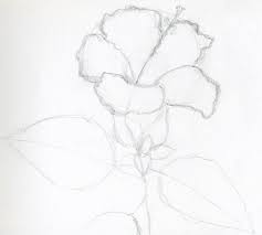 Rose Ka Phool Drawing Rose Drawing Gulab ka phool is directed by kidar sharma, and stars. rose drawing