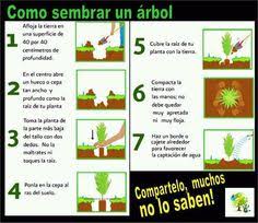 Trabajan colores, sonidos y otros estímulos sencillos para los más pequeños de la casa. 10 Ideas De Texto Instructivo Instructivo Textos Texto Instructivo Para Ninos