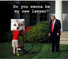But a bad lawyer too. I Am Not A Cat Zoom Cat Lawyer I M Not A Cat Know Your Meme