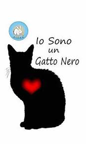 Per effetto della scorsa legge di bilancio sono cambiate le sanzioni per chi assume personale irregolare. 17 Novembre Giornata Mondiale Del Gatto Nero