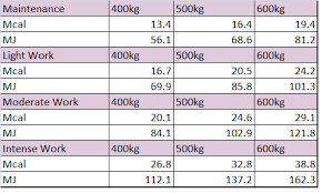 Equestrian Movement Feeding Your Horse Part 1