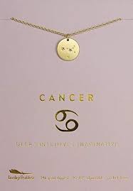 They are very emotional and sensitive, and care. Amazon Com Lucky Feather Aquarius Zodiac Sign Constellation Pendant Necklace For Women 14k Gold Zodiac Necklaces Constellation Pendant Constellation Necklace