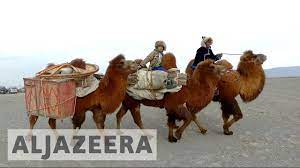 How to ride a camel: Mongolia Races To Preserve Two Humped Camels Youtube