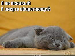 images?q=tbn:ANd9GcQgNZsfshF09ddgIFAA9Sx5adl4fHNaUfMHQc08kaNzARm1_FdEicknu-s_S-AFhuCnqWs&usqp=CAU