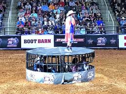 The Shark Cage And Entertainer At The Professional Bull