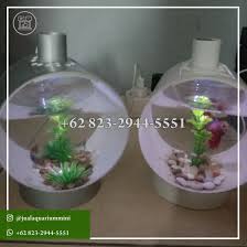 Asli 62 823 2944 5551 Aquarium Mini Portable In 2020 Mini Aquarium 62nd