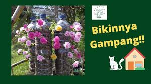 Bunga krokot adalah tanaman asli dari amerika selatan. Ide Taman Bunga Krokot Ide Mania