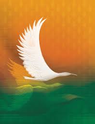 Commencement 2024: Undergraduate Degree Ceremony • May 10 • 1 p.m. by  University of Miami - Issuu