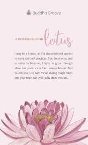A Message From The Lotus Uncategorized Lotus Flower Meaning Lotus Flower Quote Flower Meanings