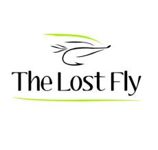 Image result for fly logo