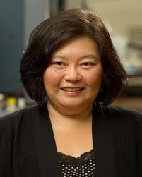 Infectious Disease // Warren Drug Discovery // University of Notre Dame