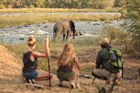 Enjoy wildlife, community tanzania tours, serengeti, ngorongoro. Wandersafari Und Fusssafari In Tansania Ein Individualreise Erlebnis