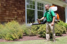 Unemployed percentage significantly below state average. Mosquito Control For Yard Huntsville Alabama