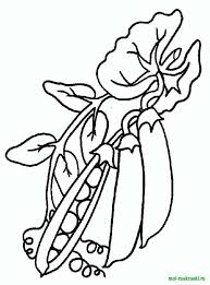 How to draw a rainbow and clouds easy with coloring. Online Coloring Pages Coloring Page Green Beans Vegetables Download Print Coloring Page