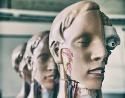 Kan/Trahc" by Iliana Vargas