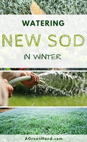 A light watering of the ground before installation is recommended the first mowing should be approximately 14 days after the sod has been installed. Watering New Sod In Winter A Green Hand
