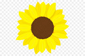 Sun flower character animation cute gambar bunga matahari animasi hd png download 469x720 6070749 pngfind. Umum Bunga Matahari Bunga Seni Gambar Png
