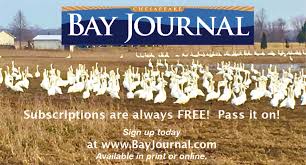 Environmental education during COVID-19