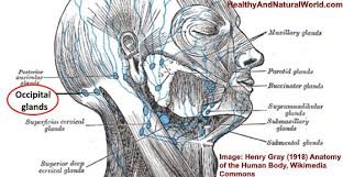 Pin On Health