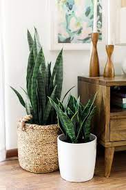 our home tour now live on domino com vintage einrichtungen retro zuhause schoner wohnen wohnzimmer