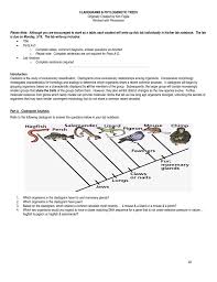 Cladogram Worksheet Answers Photos Roostanama Grammar Worksheets Worksheets Grammar