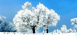Full Wallpaper Wallpapers Winter Winter Wallpapers Full Hd Winter Wallpaper Winter Wallpaper Winter Landscape Winter Backdrops Homemade peanut butter fudgesicle recipe. full wallpaper wallpapers winter