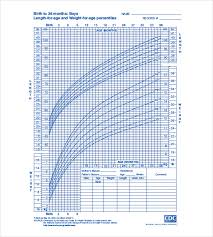 height weight chart template 11 free word excel pdf