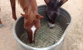In my experience, these are the two simplest chicken feeder ideas to implement. Save Money On Hay With These Diy Slow Feeders Cowgirl Magazine