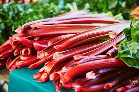 When picking rhubarb, it's important to harvest during the spring and fall and to allow the plant enough time to gather and store energy for the summer and winter. When Is Rhubarb Reading To Pick Top Tips