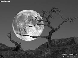 صور قمر وليل صور قمر جميل اجمل الصور صور جميلة Hd Shoot The Moon Beautiful Moon Moon