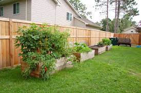 Dreaming Of Green Garden Ideas Along Fence Line Garden Beds Garden Ideas Cheap