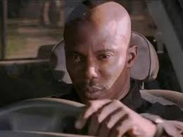 Discovering Your Fursona: What Animal Represents You?