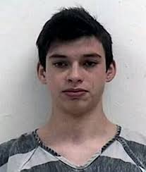 Teen who beat his teacher to death with baseball bat with pal is jailed for  LIFE