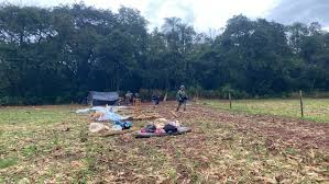 TRF4 suspende despejo de Avá-Guarani em Guaíra (PR) e reverte decisão que incluía apreensão de crianças indígenas