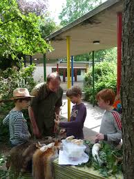 Vorschul Naturquiz An Der Volksdorfer Schule An Den Teichwiesen 11 07 2016 Jagergruppe Feldeck