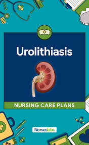 Pin On Nursing Care Plans