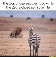 The Lion chose sex over food while The Zebra chose porn over life. ss -  seo.title