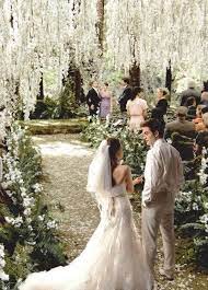 Their Wedding Is So Cute Twilight Wedding Redwood Forest Wedding Forest Wedding