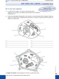 Bevor die kinder anfangen, sollten sie jedes arbeitsblatt gemeinsam einmal durchgehen, bzw. Der Kern Des Lebens Angriff Der Viren Donnerstag 7 30 Uhr Stammnummer Der Renommierte Schwedische Wissenschaftsfotograf Pdf Free Download