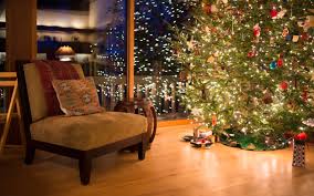 North valley 7' white spruce christmas tree with 550 clear/white lights. Misery For Millions Of Britons Over Christmas Travel Curbs