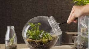 Kesan pertama memperhatikan dari hasil teknik vertikultur, adalah soal estetikanya, nyaris mirip. Tips Membuat Taman Mini Terarium Di Rumah