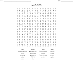 This crossword puzzle covers many of the main bones in the human body. Bone And Muscle Anatomy Crossword Wordmint