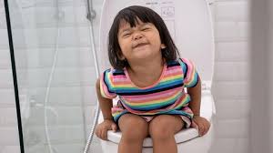 Menahan buang air besar bukan saja membuat tidak nyaman, namun juga dapat memicu atau memperburuk konstipasi. Daftar Vitamin Untuk Anak Yang Susah Buang Air Besar