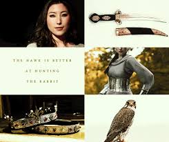 Do You Know The Difference Between A Hawk And A Falcon Perrin Size Mostly He Said Wing Shape Too The Wheel Of Times Robert Jordan Under The Shadow