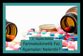 Farmakokinetik Faz Asamalari Nelerdir Metabolizma Rehber Universite